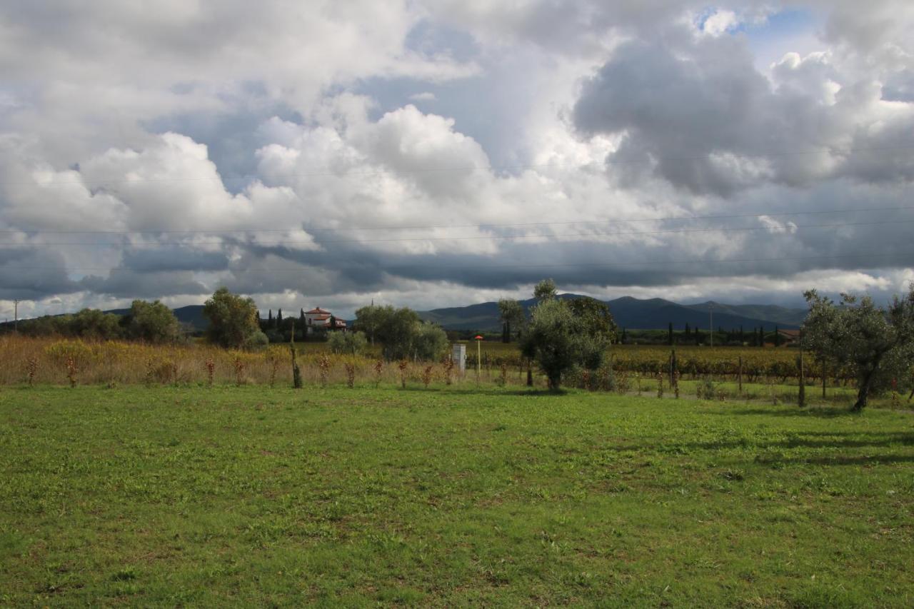 Podere Campo Alle Serpi بيبونا المظهر الخارجي الصورة