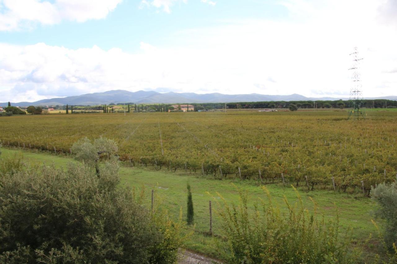 Podere Campo Alle Serpi بيبونا المظهر الخارجي الصورة