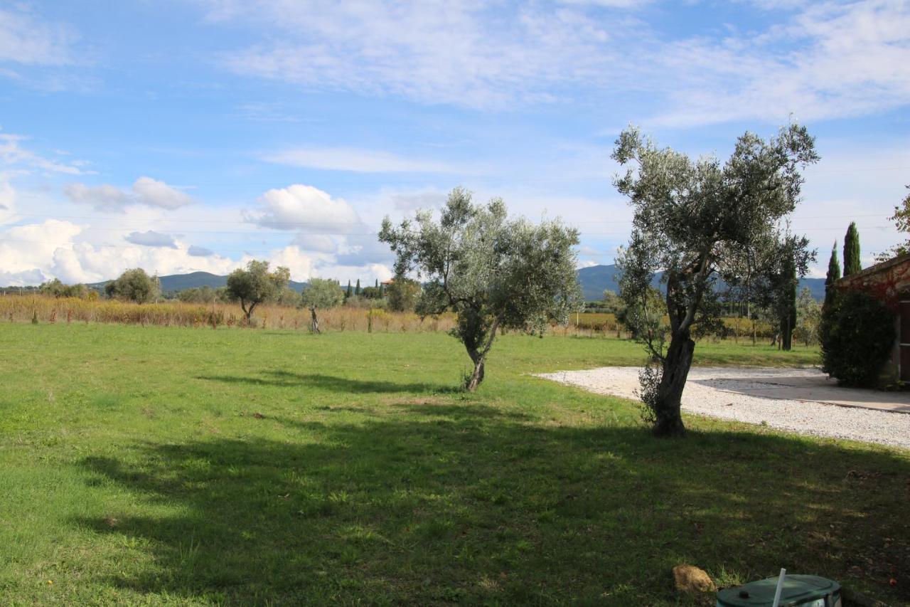 Podere Campo Alle Serpi بيبونا المظهر الخارجي الصورة
