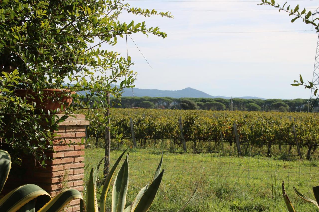 Podere Campo Alle Serpi بيبونا المظهر الخارجي الصورة