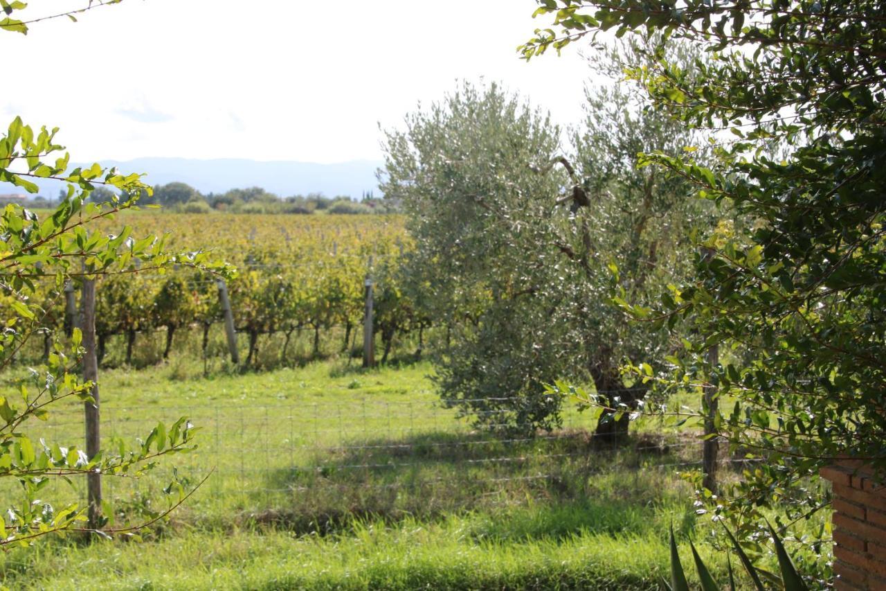 Podere Campo Alle Serpi بيبونا المظهر الخارجي الصورة