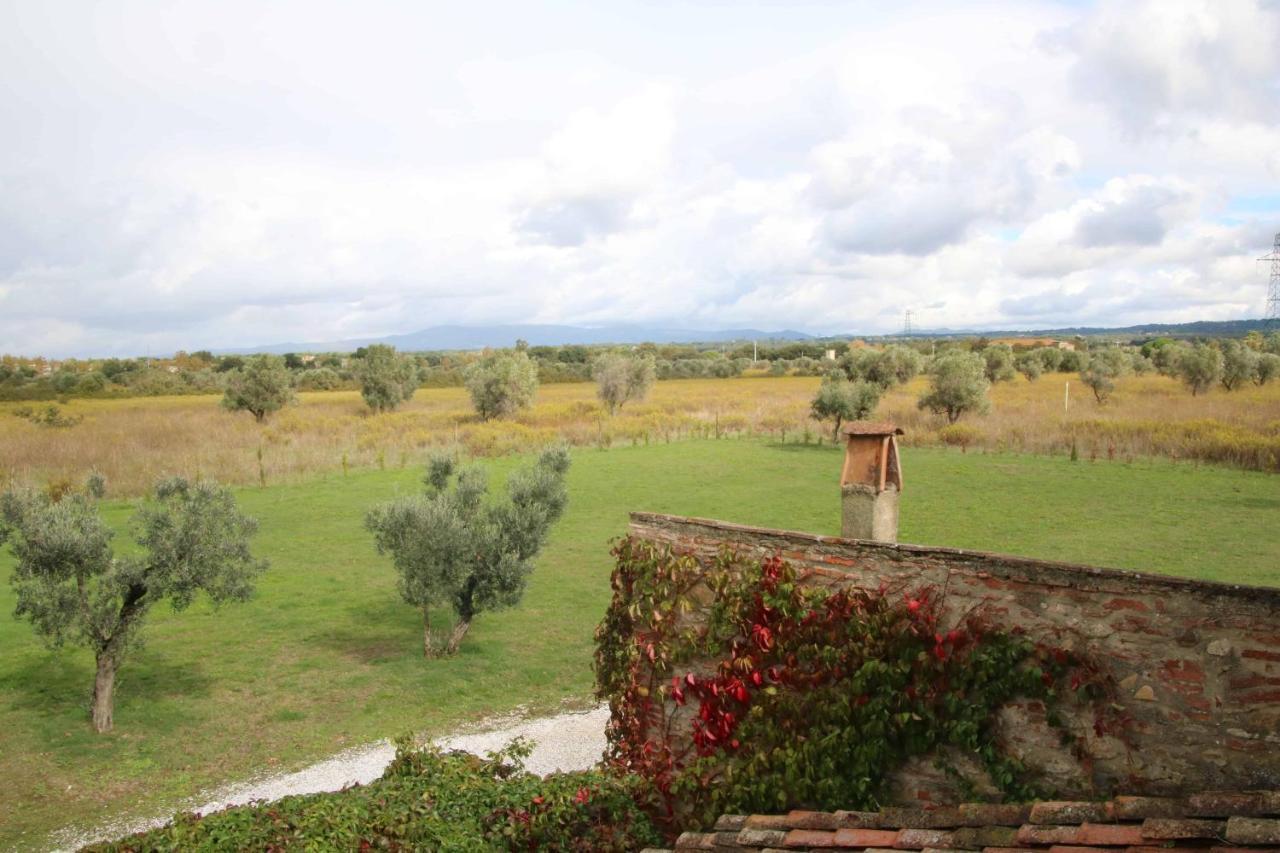 Podere Campo Alle Serpi بيبونا المظهر الخارجي الصورة