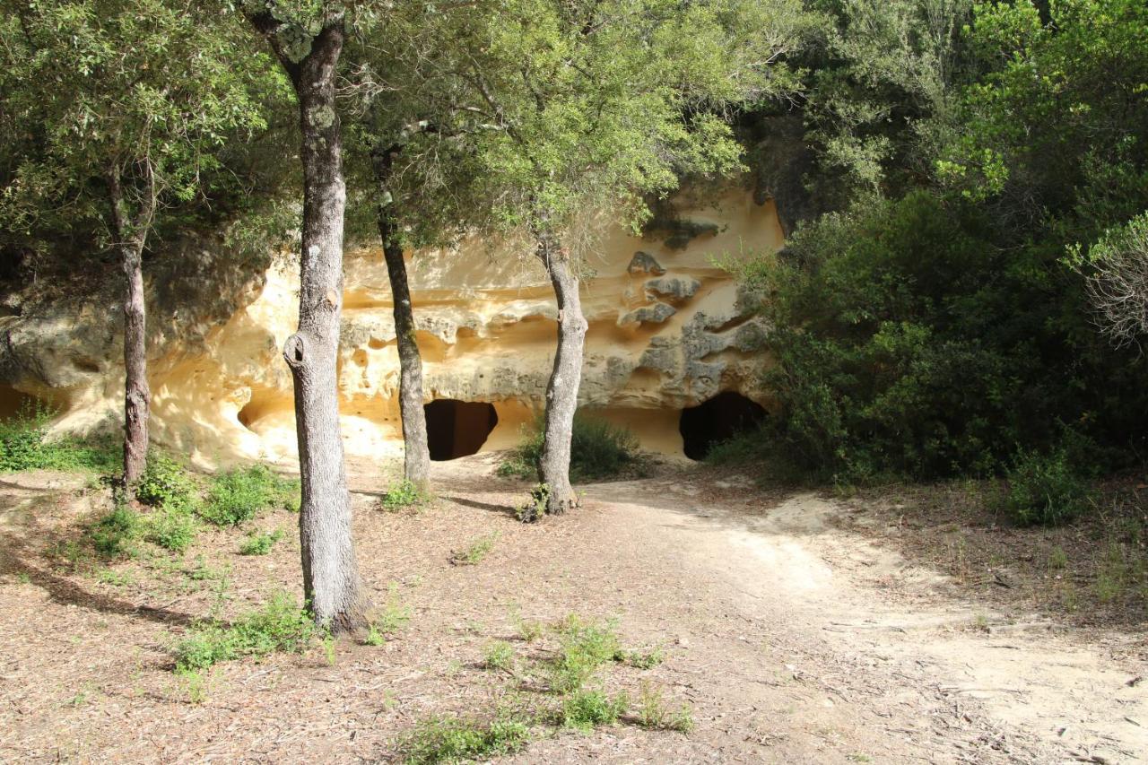 Podere Campo Alle Serpi بيبونا المظهر الخارجي الصورة