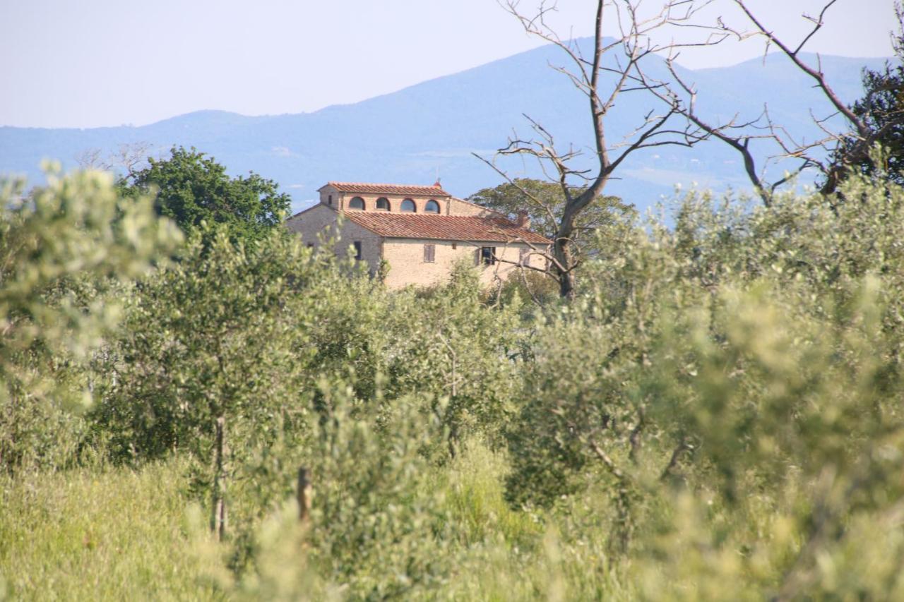 Podere Campo Alle Serpi بيبونا المظهر الخارجي الصورة