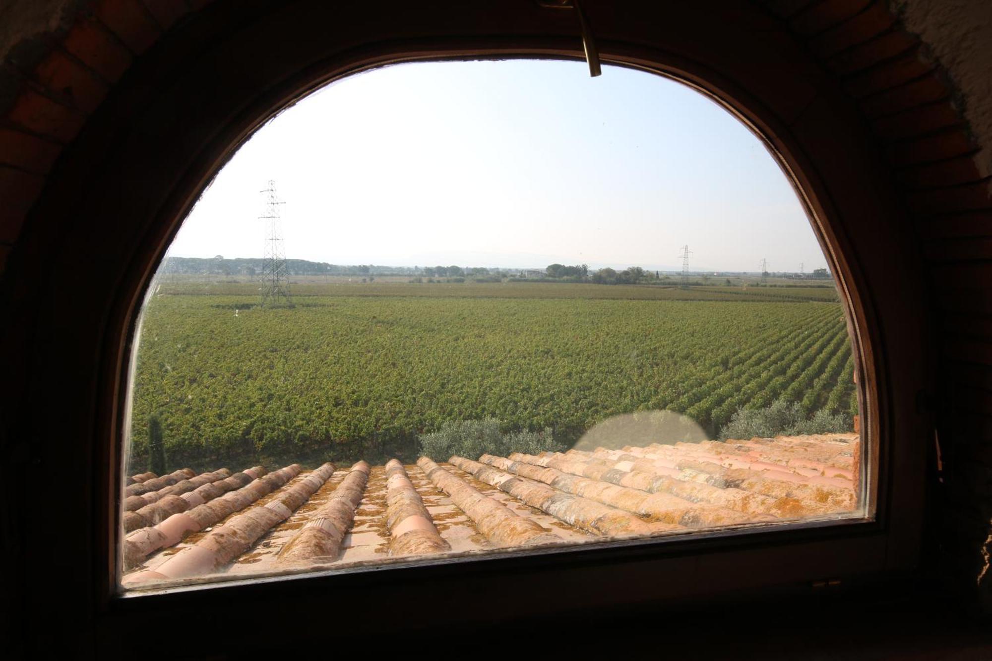 Podere Campo Alle Serpi بيبونا المظهر الخارجي الصورة