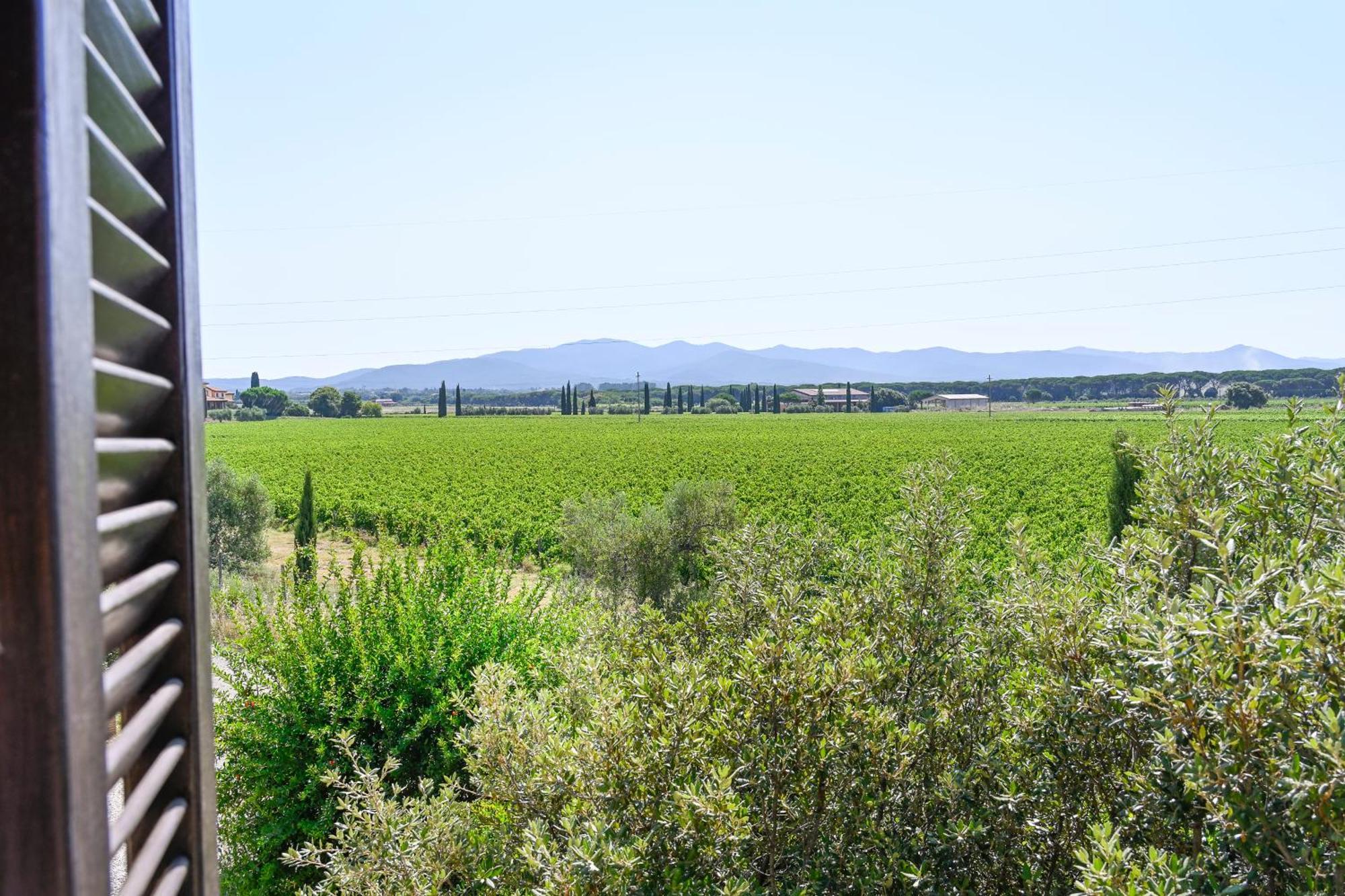Podere Campo Alle Serpi بيبونا الغرفة الصورة