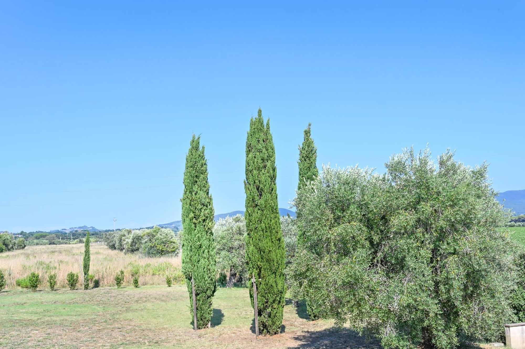 Podere Campo Alle Serpi بيبونا الغرفة الصورة