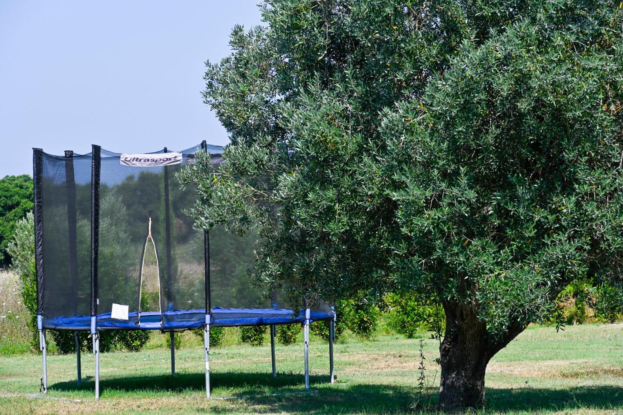 Podere Campo Alle Serpi بيبونا المظهر الخارجي الصورة