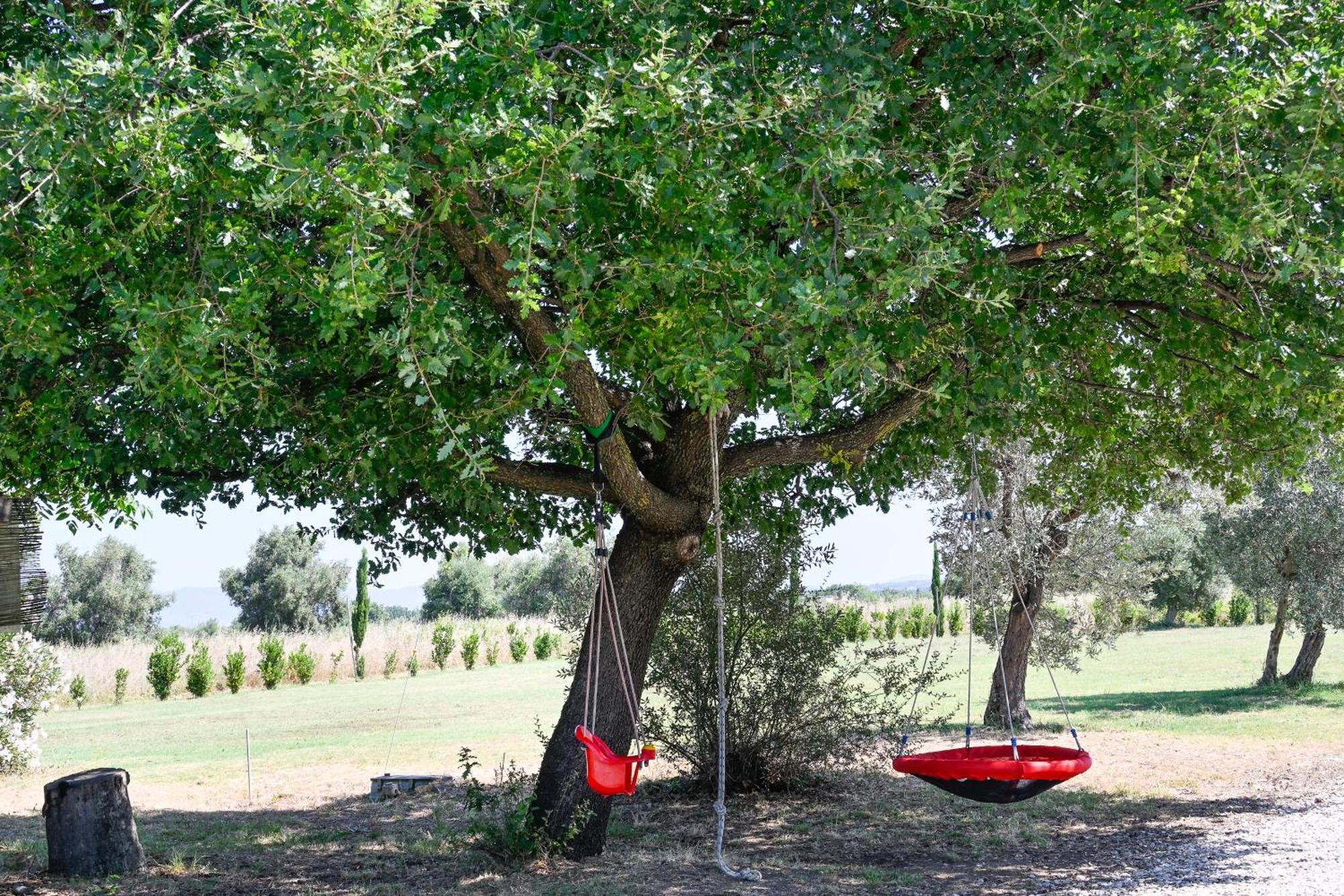 Podere Campo Alle Serpi بيبونا المظهر الخارجي الصورة